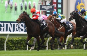 Hong Kong Horse Racing Results Sha Tin Results And