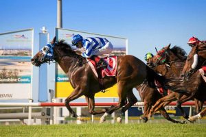 Sunshine Coast tips, value bets & best odds Saturday 27